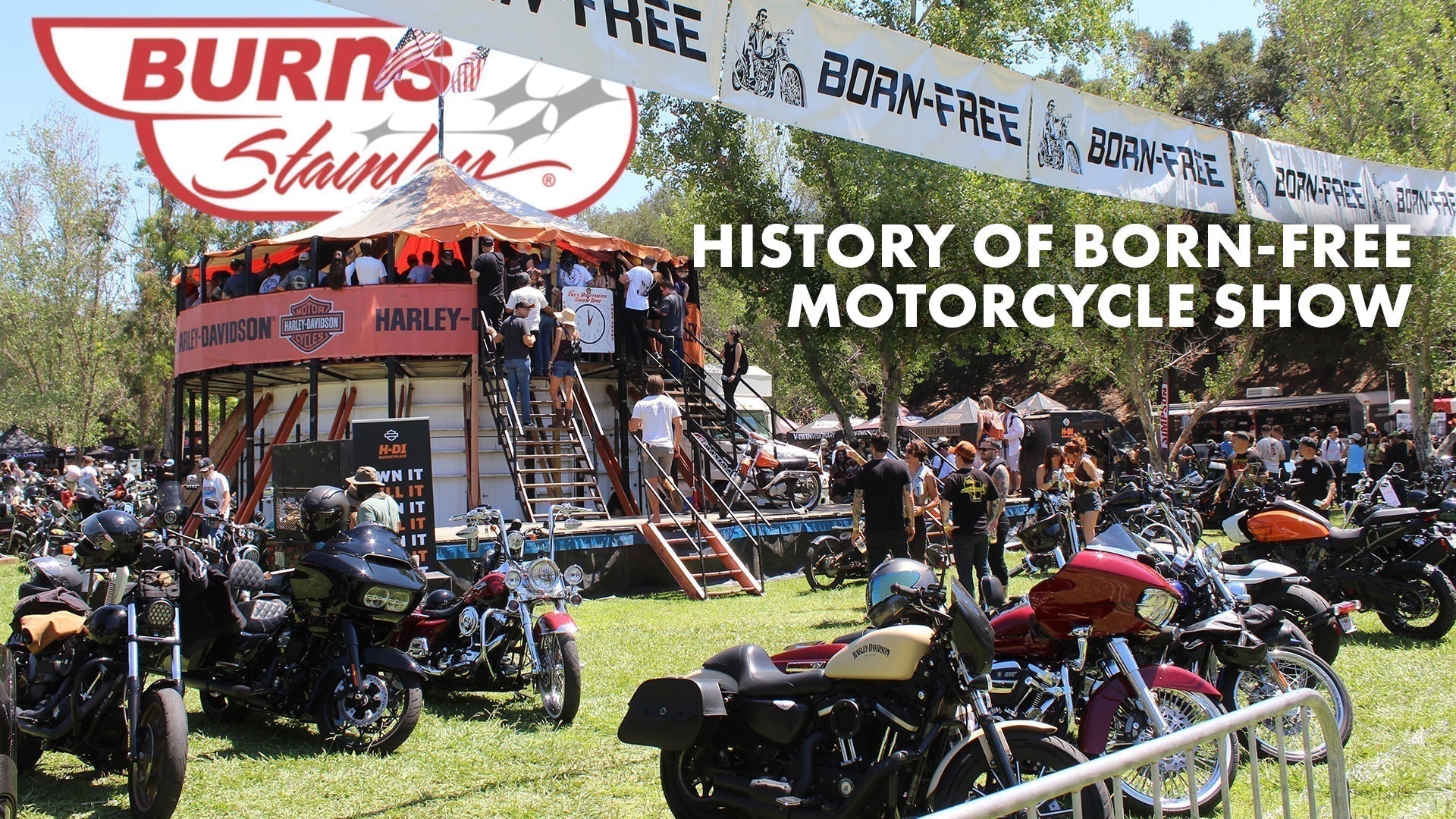 Born Free Motorcycle Show: From Grassroots Gathering to National Motorcycle Event
