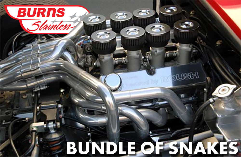 Bundle of Snakes - 180 Degree Headers